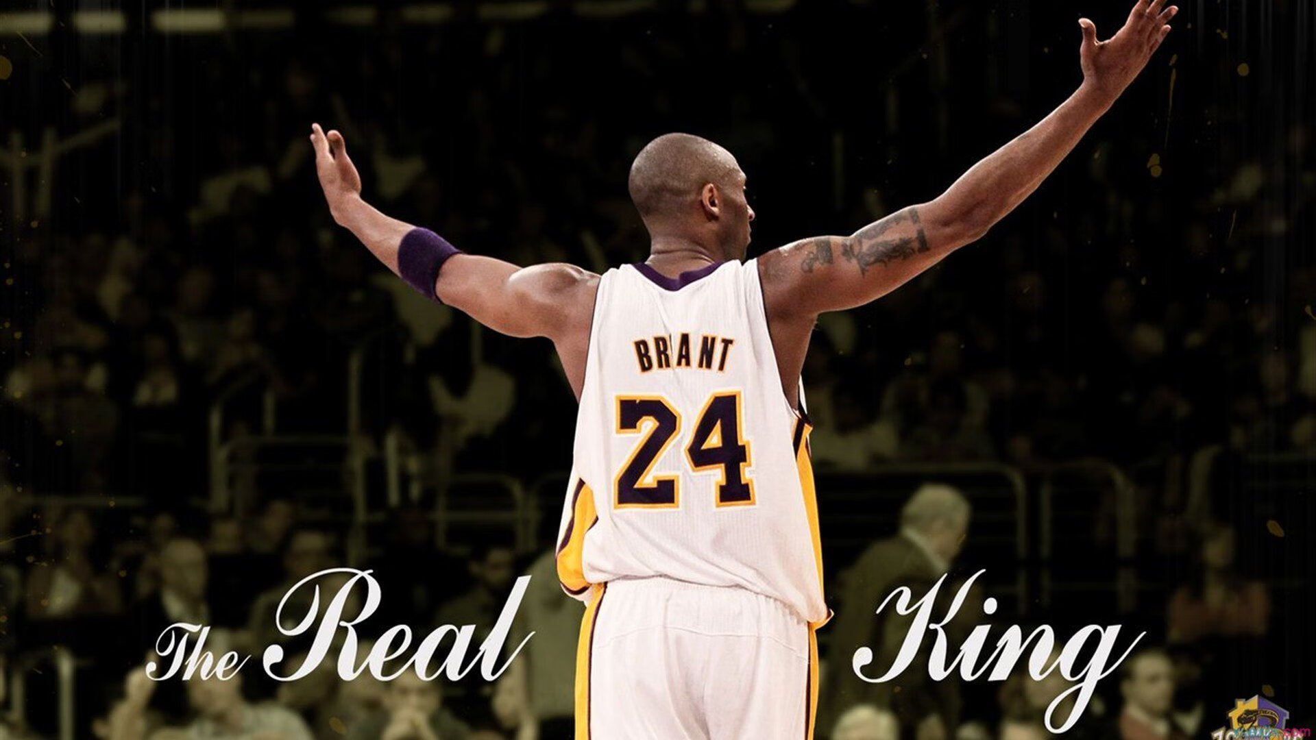 库里加入环保组织推广绿色篮球场，库里的黄色篮球